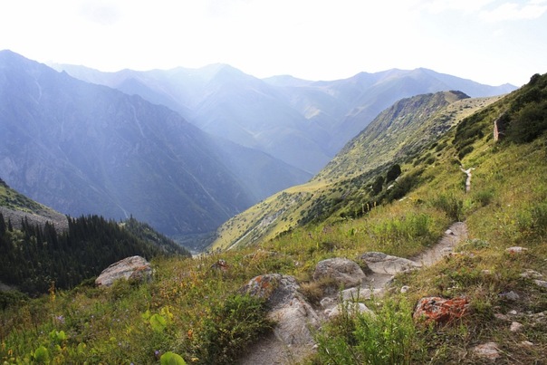 Фото к Встреча альпиниста и профессионального фотографа со студентами Ульяновска
