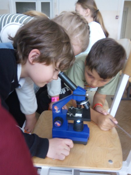 Фото к Юные детективы начинают расследование!