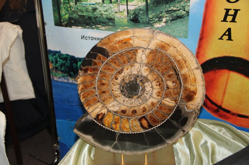 Фото к Информационный центр по атомной энергии принял участие в открытии географического фестиваля «Фрегат Паллада»