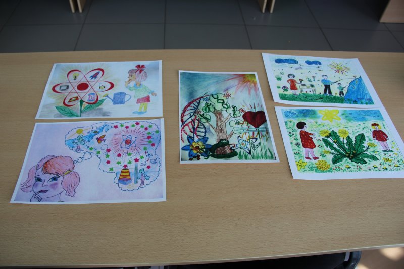 Фото к В Ульяновске подвели итоги регионального этапа Всероссийского конкурса «Мой атом»